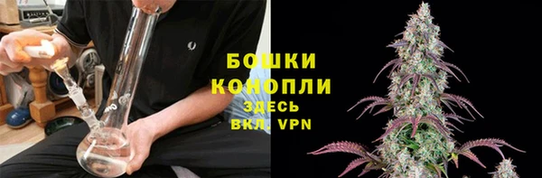 прущие грибы Абдулино