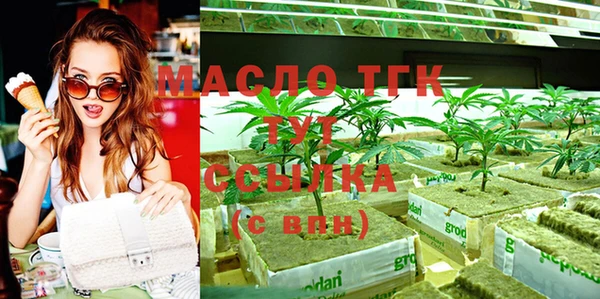 дмт Абаза